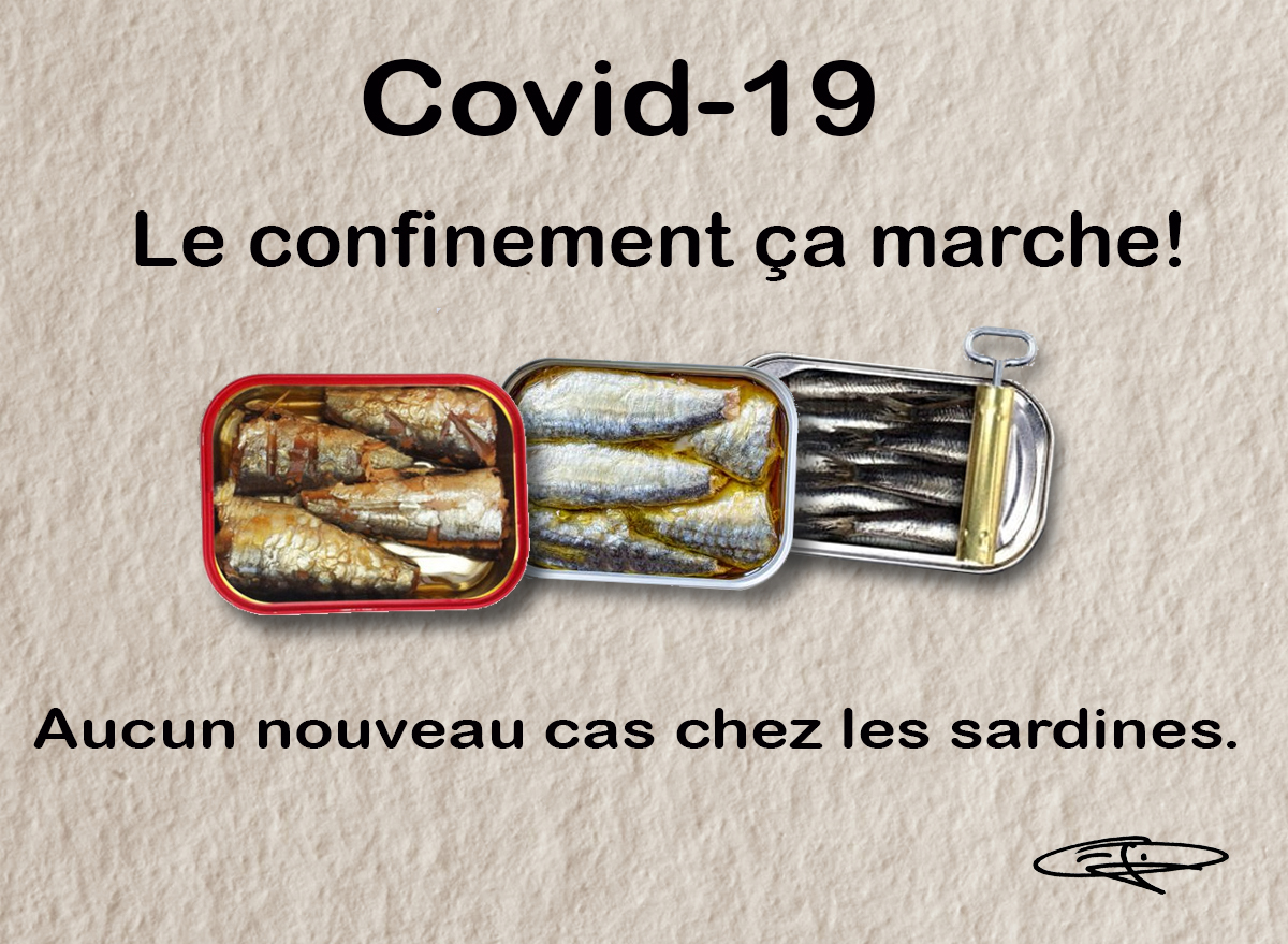 20200321 Les sardines Garba